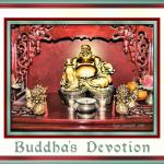 Buddha's Devotion