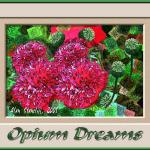 Opium Dreams