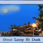 Street Lamp At Dusk