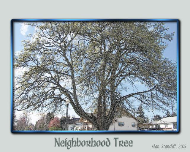 Neighborhood Tree