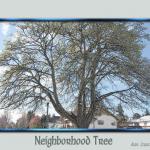 neighborhood_tree