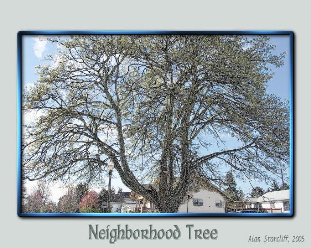neighborhood_tree
